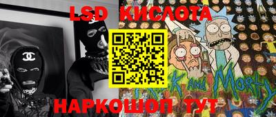 трава Кингисепп