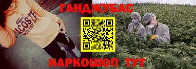 трава Кингисепп