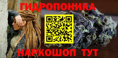 трава Кингисепп